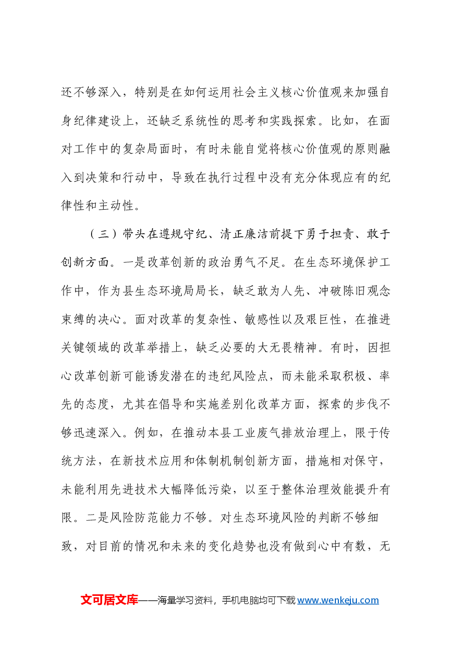 某县生态环境局局长2024年度民主生活会对照检查材料.docx,第4页预览