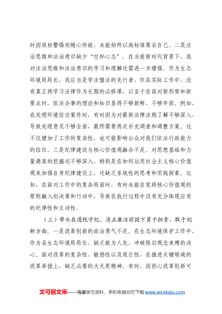 某县生态环境局局长2024年度民主生活会对照检查材料(四个带头).docx,第3页预览