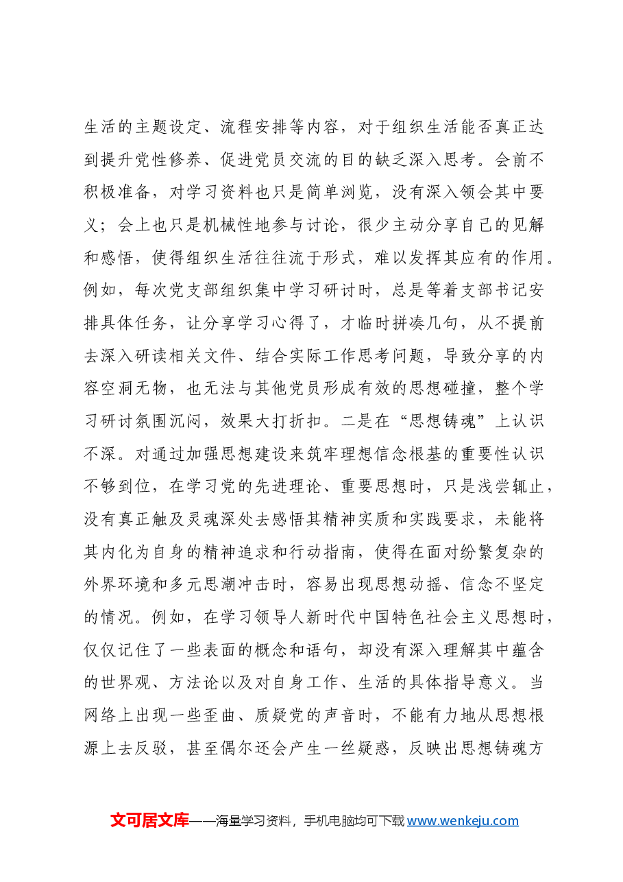 2024年专题民主生活会、组织对照检查发言材料四个带头.docx,第3页预览