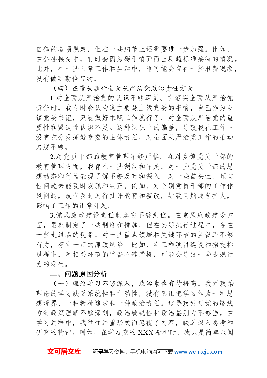 乡镇党委书记2024年度民主生活会对照检查材料.docx,第3页预览
