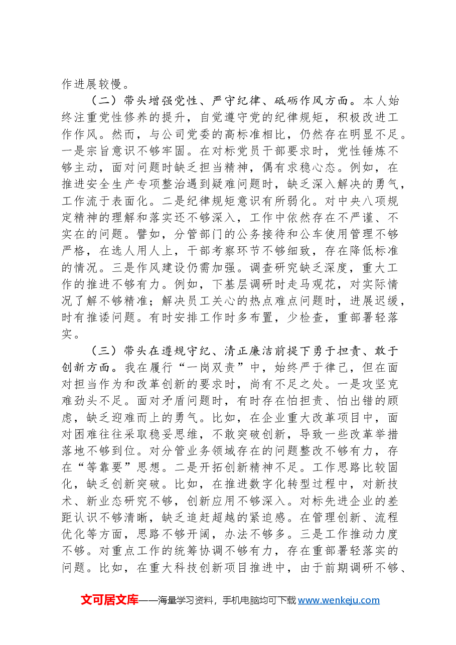 2024年度四个带头专题民主生活会个人对照检查材料.docx，第2页预览