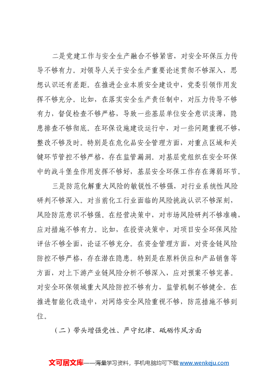 能化类国企党委书记2024年民主生活会对照检查材料(四个带头).docx,第2页预览