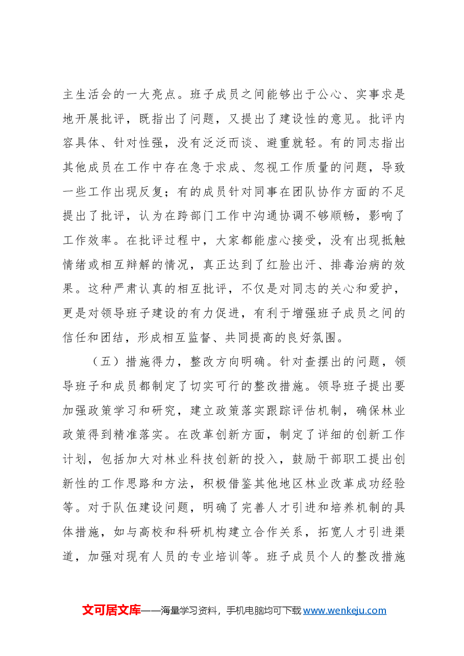 指导组组长在市级部门领导班子2024年专题民主生活会上的点评讲话.docx,第4页预览