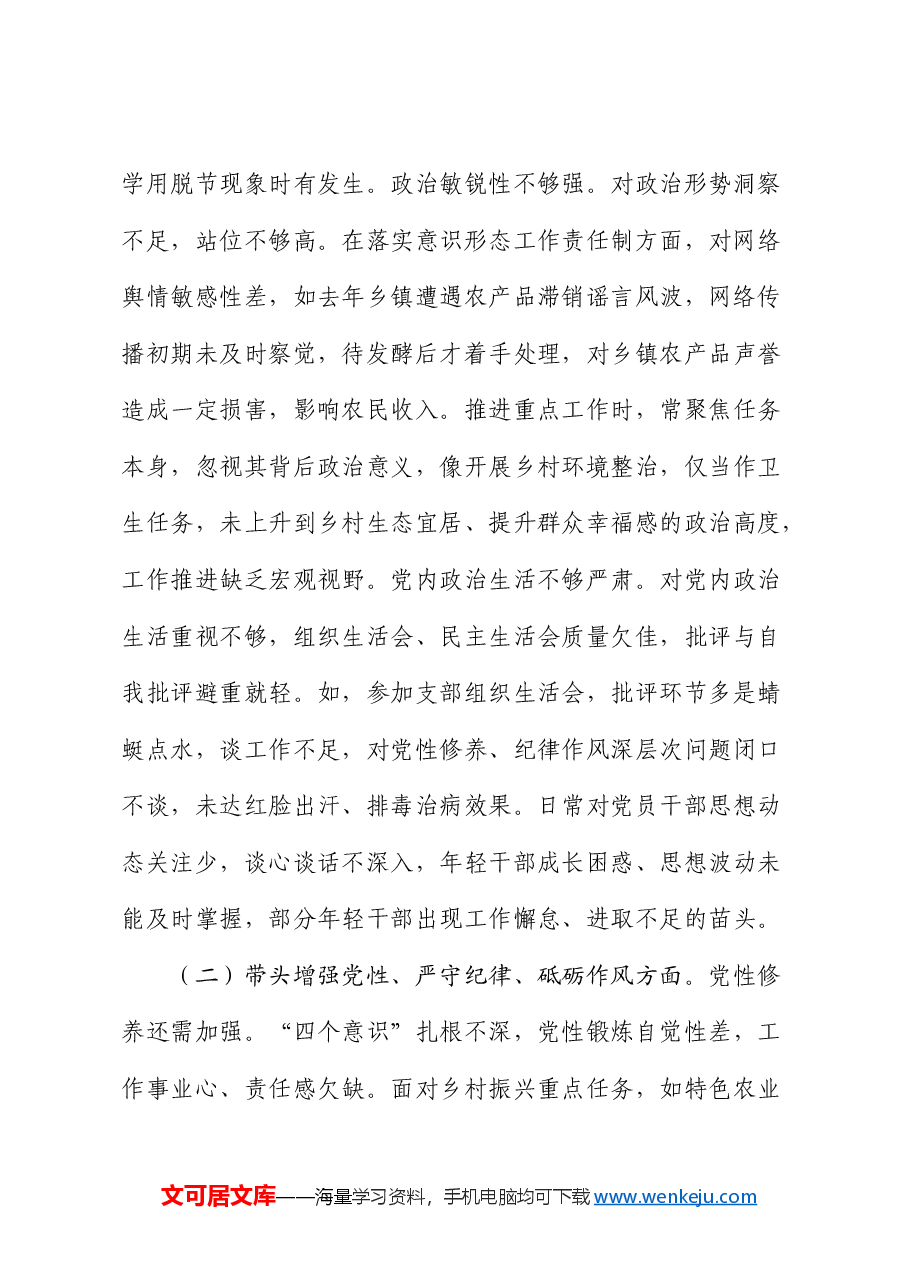 乡镇党委书记2024年度民主生活会对照检查.docx,第2页预览