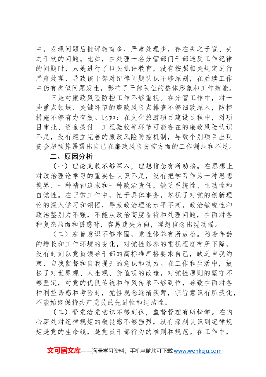 2024年民主生活会个人对照检查发言(市领导).docx,第4页预览
