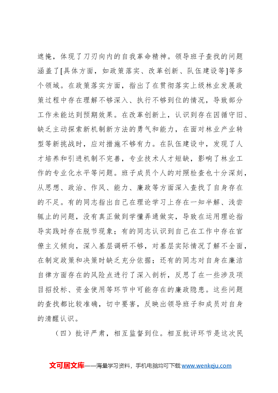 指导组组长在市级部门领导班子2024年专题民主生活会上的点评讲话.docx,第3页预览