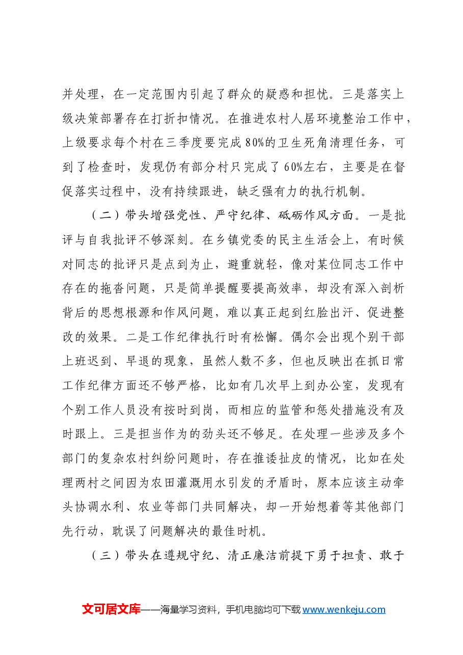 乡镇党委书记2024年度民主生活会对照检查发言材料.docx,第2页预览