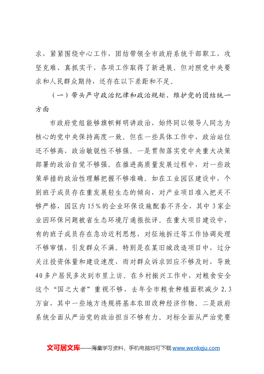 市政府党组2024年民主生活会班子对照检查材料四个带头.docx,第3页预览