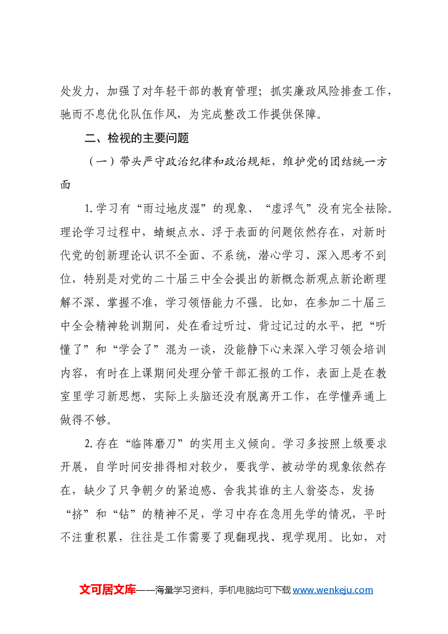 班子成员2024年度民主生活会发言提纲(四个带头).docx,第3页预览