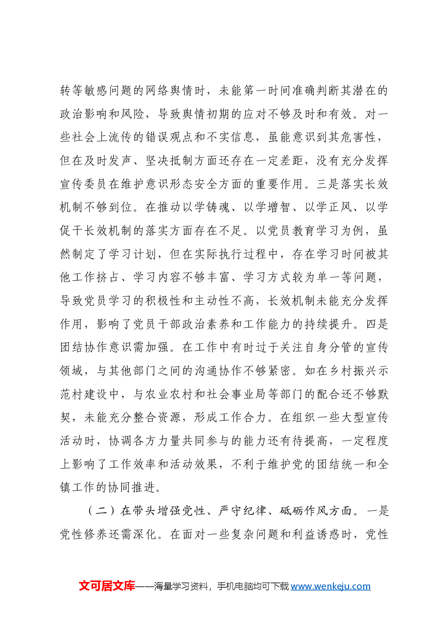 某镇党委宣传委员2024年度民主生活会个人对照查摆剖析材料四个带头 案例剖析.docx,第2页预览