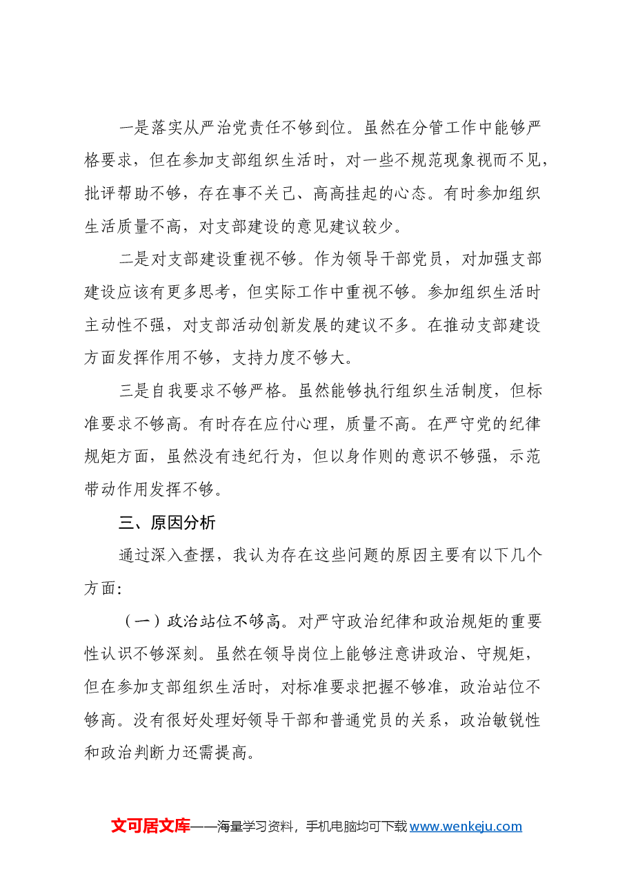 领导干部2024年组织生活会对照检查材料(四个带头).docx,第4页预览