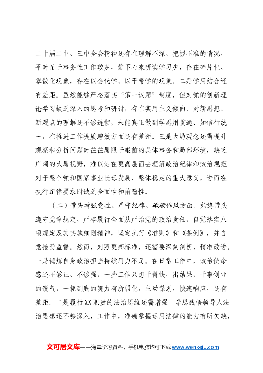 2024年度民主生活会对照检查材料(班子副职,含调查研究、案例对照).docx,第2页预览