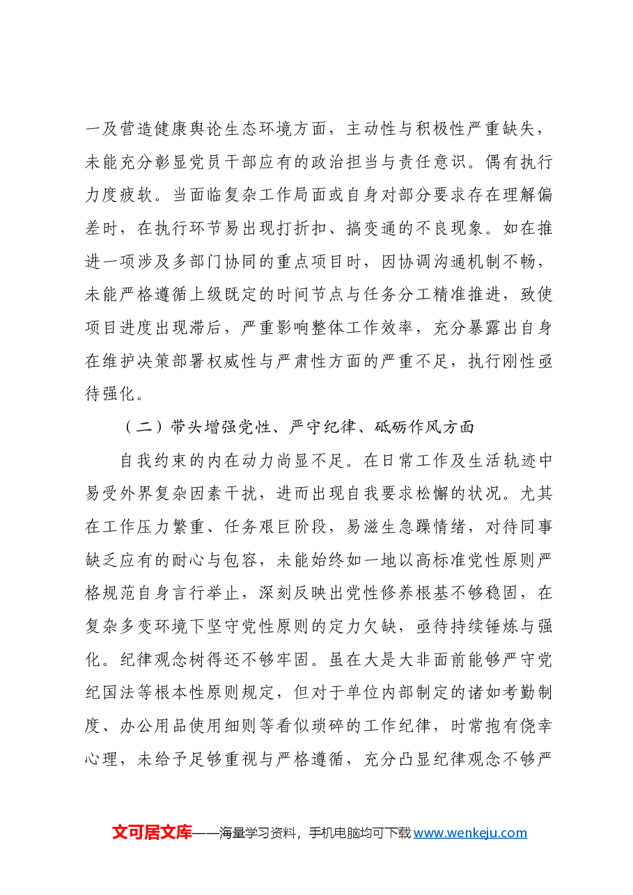 2024年度专题民主生活会对照检查材料四个带头.docx，第2页预览