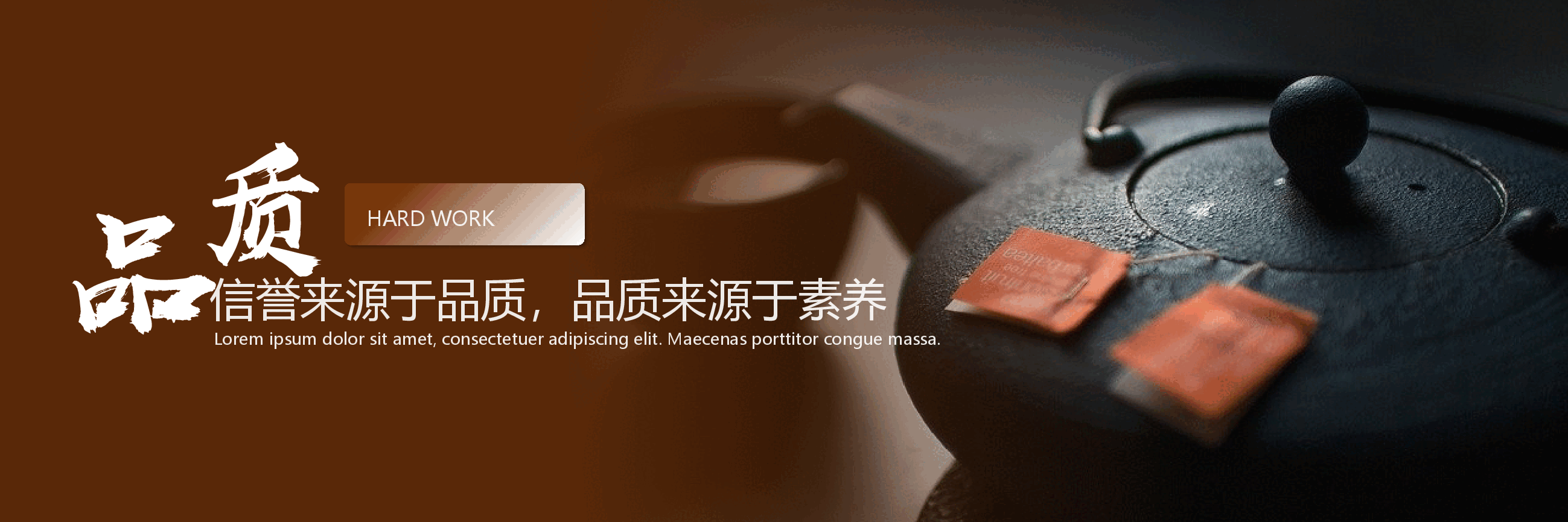 宽屏盛典公司2030年度盛典PPT.pptx,第2页预览