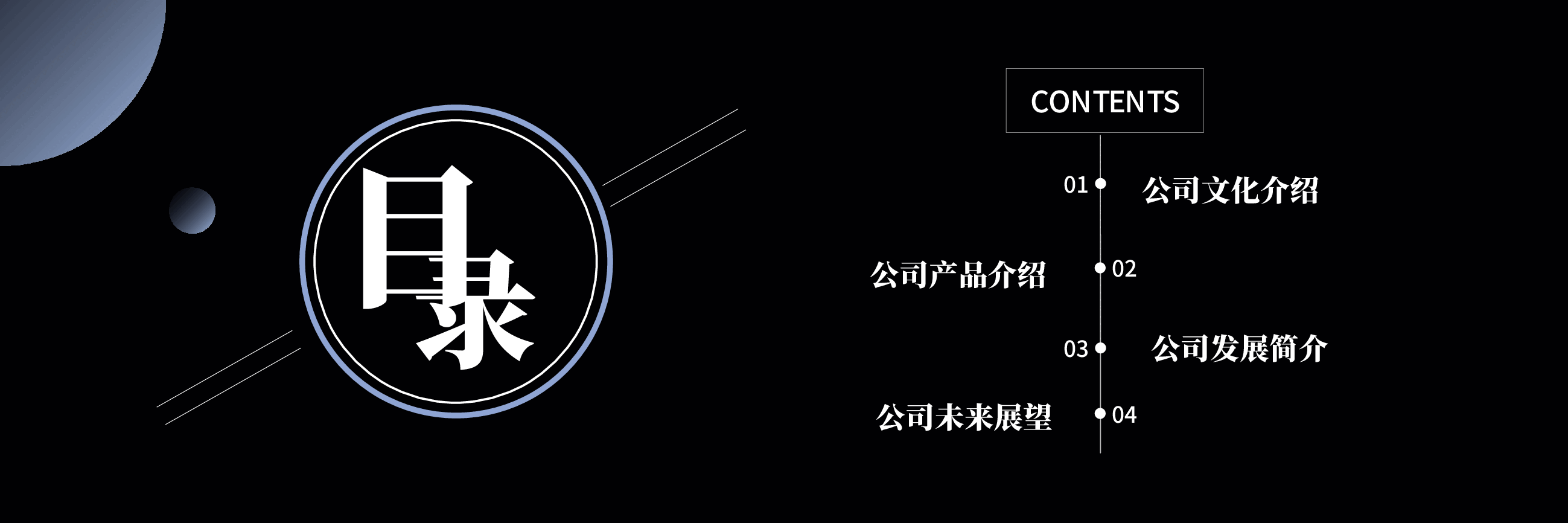 宽屏盛典公司项目介绍PPT.pptx,第2页预览