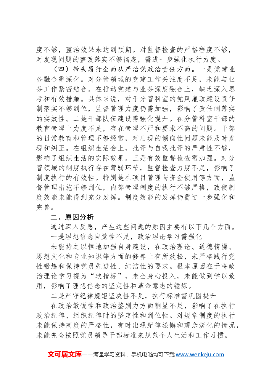 党支部书记2024年度民主生活会、组织生活会对照检查材料.docx，第3页预览