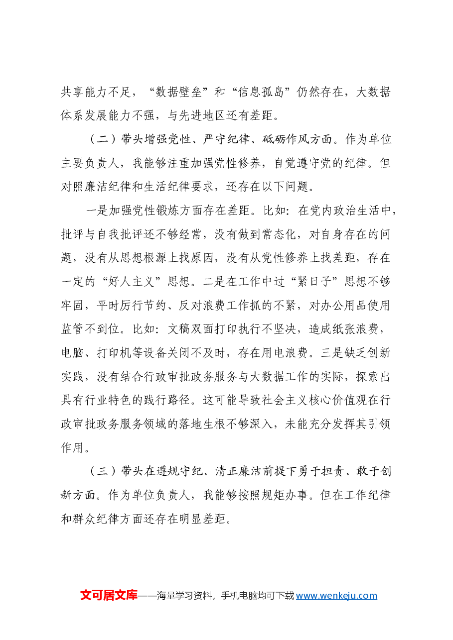 2024年审批局+民主生活会个人发言提纲（四个带头）.docx，第2页预览