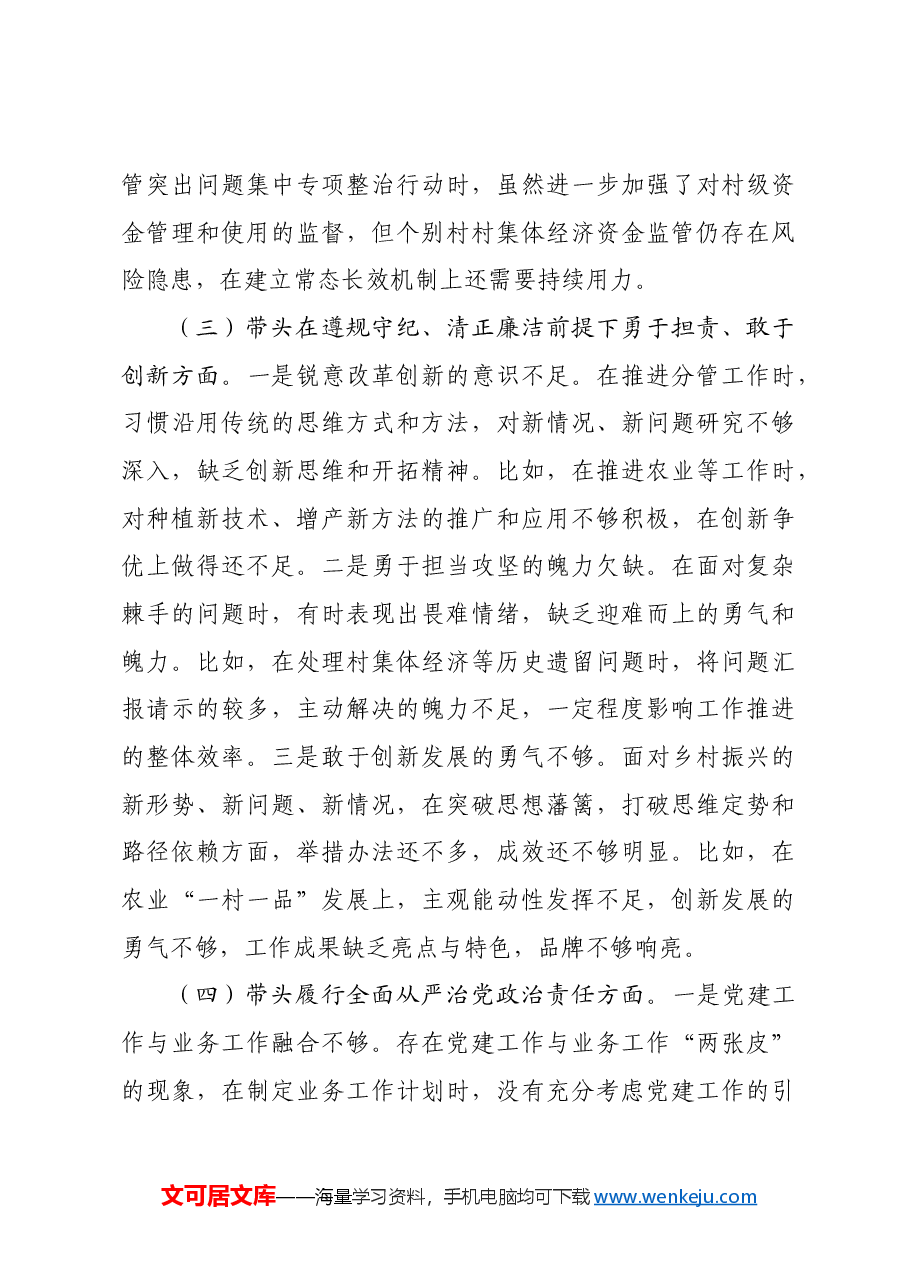 副乡长2024年度民主生活会个人对照检查材料四个带头.docx,第3页预览