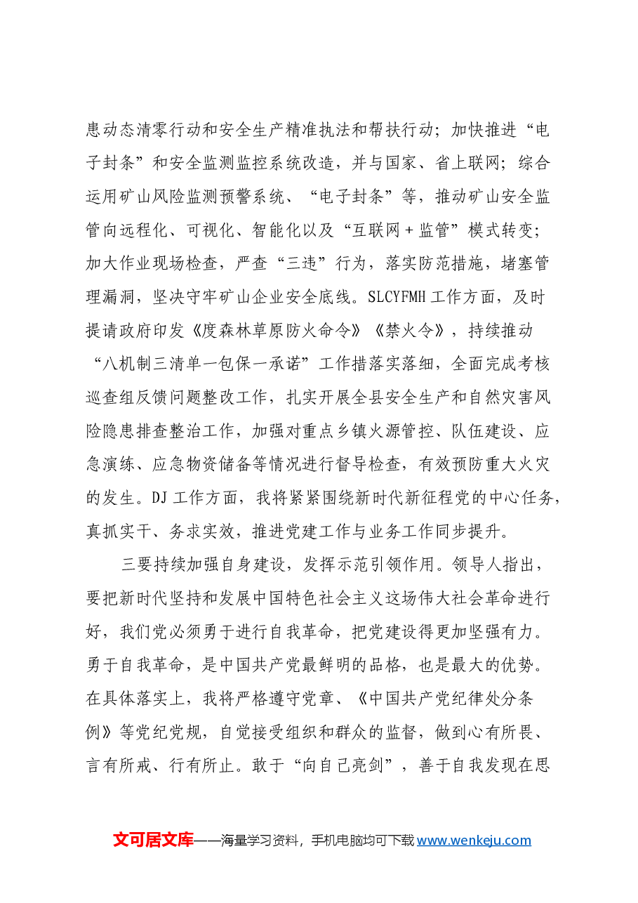 2024年度民主生活会会前专题学习研讨发言材料.docx,第3页预览