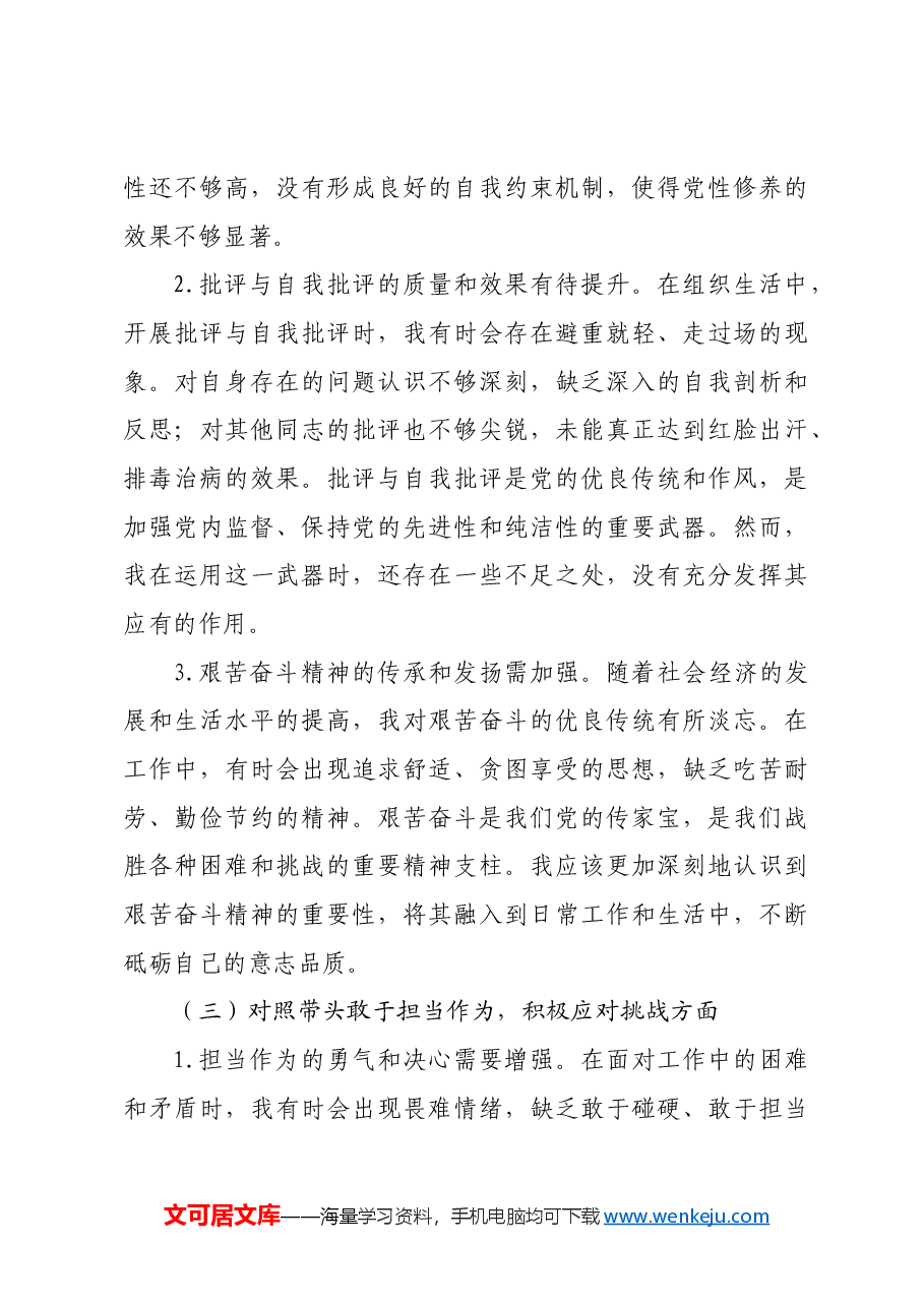 党支部副书记2024年组织生活会“四个带头”对照检查发言材料.docx，第3页预览