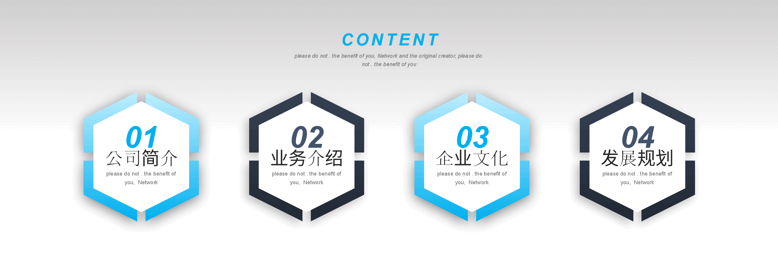 宽屏盛典公司介绍PPT2.pptx,第2页预览