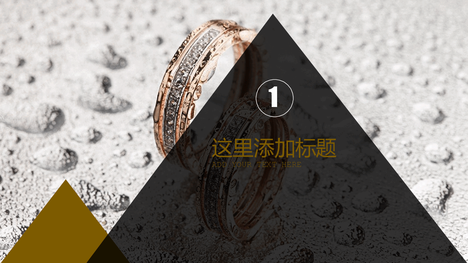 高端奢侈品时尚潮流品牌PPT.pptx,第3页预览