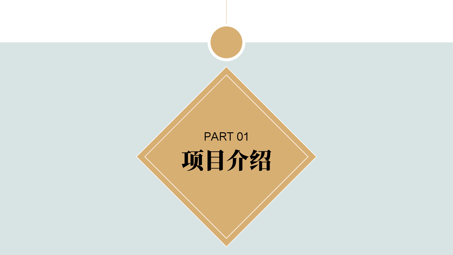 高端奢侈品服装店陈列项目融资PPT.pptx,第3页预览