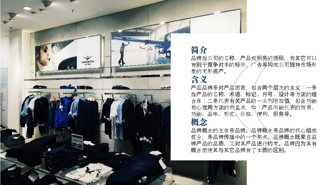 高端奢侈品商务大气风PPT.pptx,第4页预览