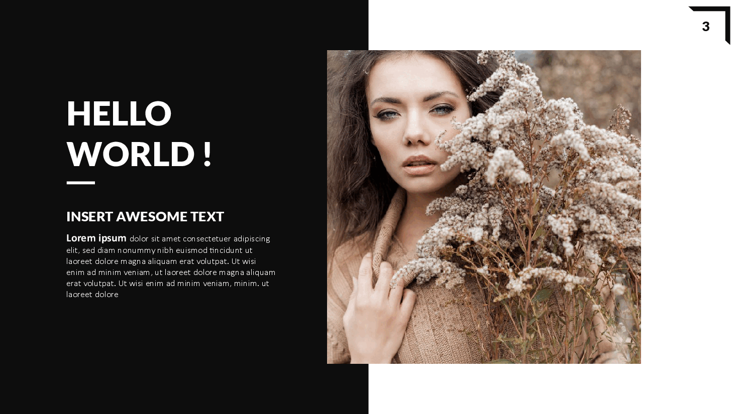 高端奢侈品 FASHION PPT.pptx,第3页预览
