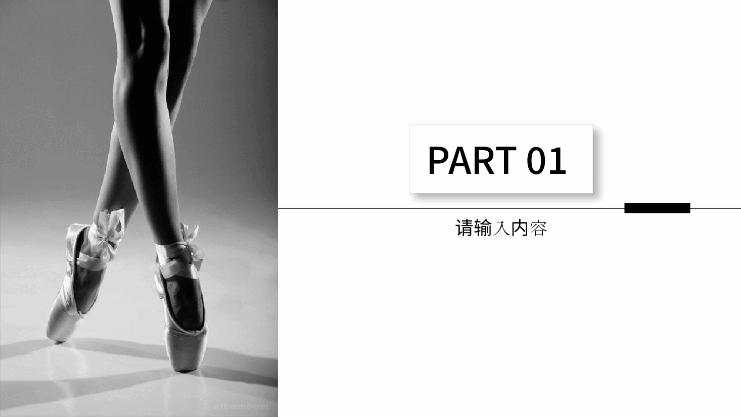 高端奢侈品时尚简约PPT模板.pptx,第3页预览
