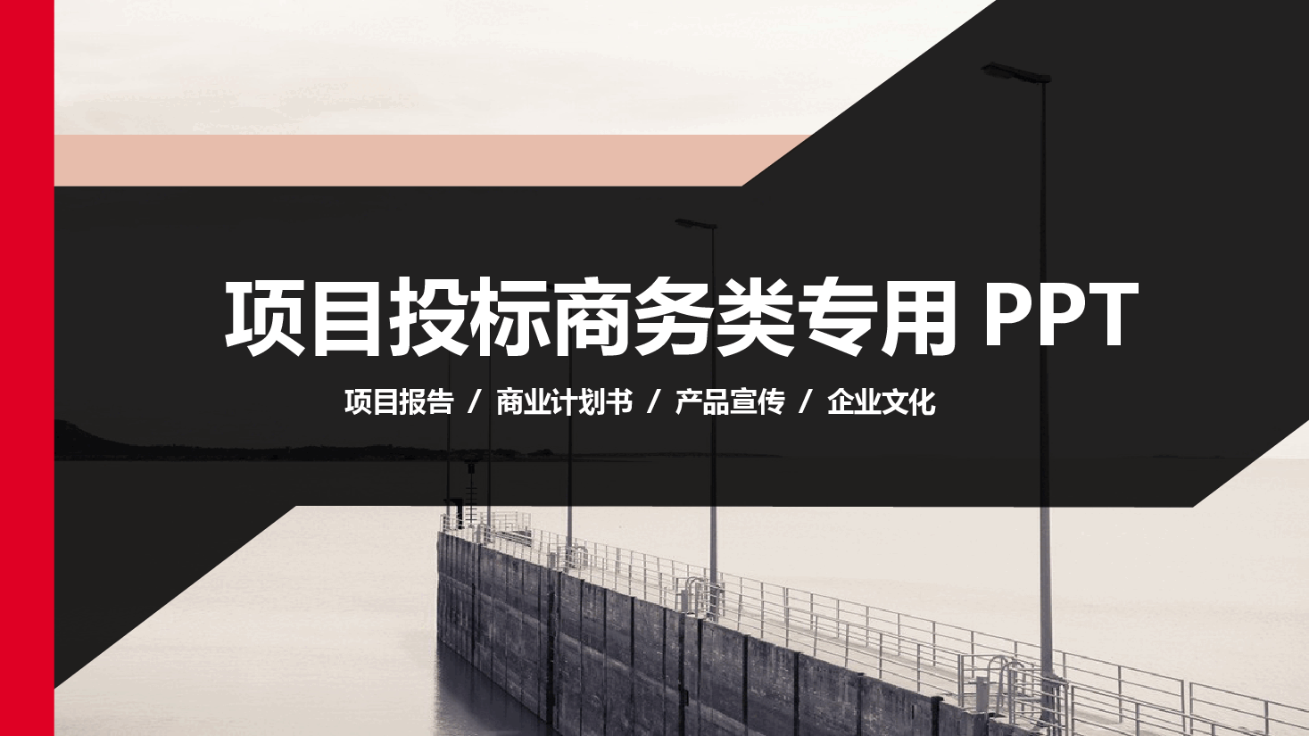 项目投标商务类专用PPT.pptx,第1页预览