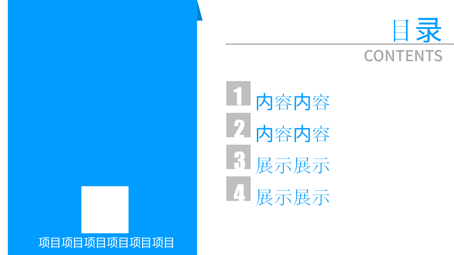 项目投标方案PPT.pptx,第2页预览
