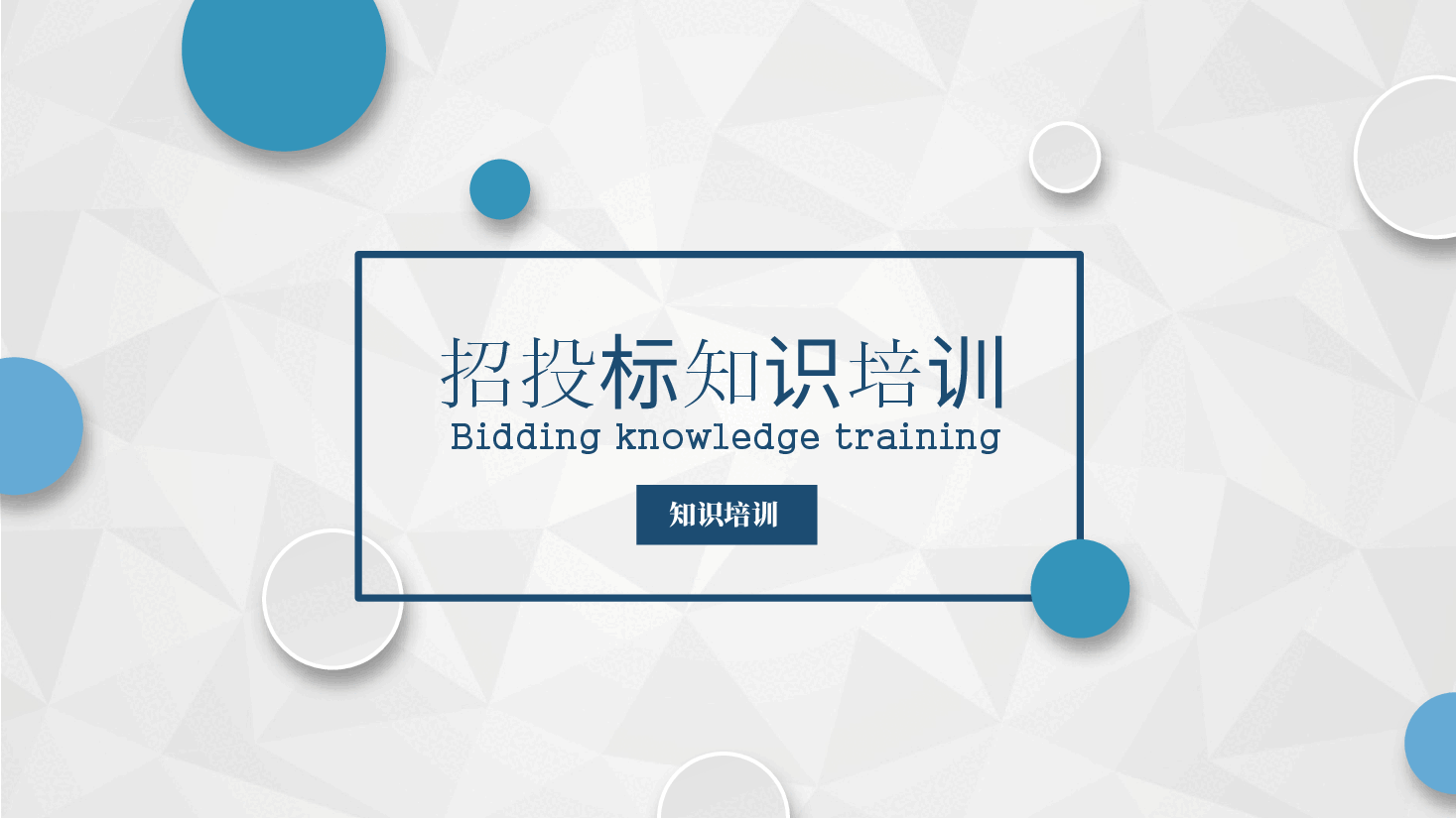 极简风招投标知识培训模板PPT.pptx,第1页预览