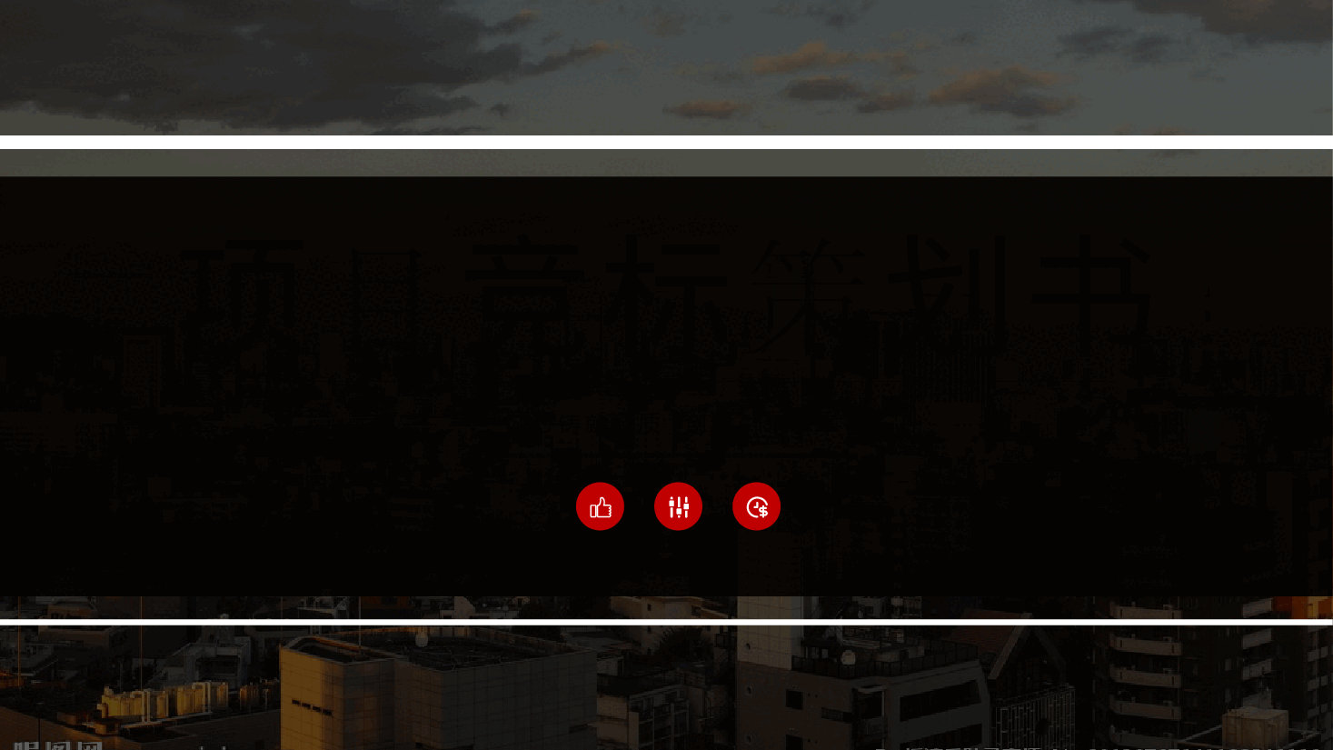 项目竞标策划书PPT.pptx,第1页预览
