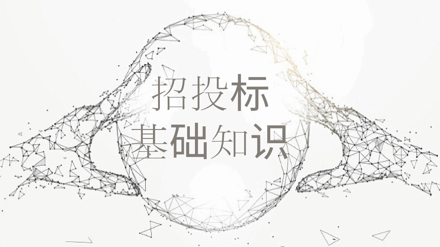 招投标基础知识PPT.pptx,第1页预览