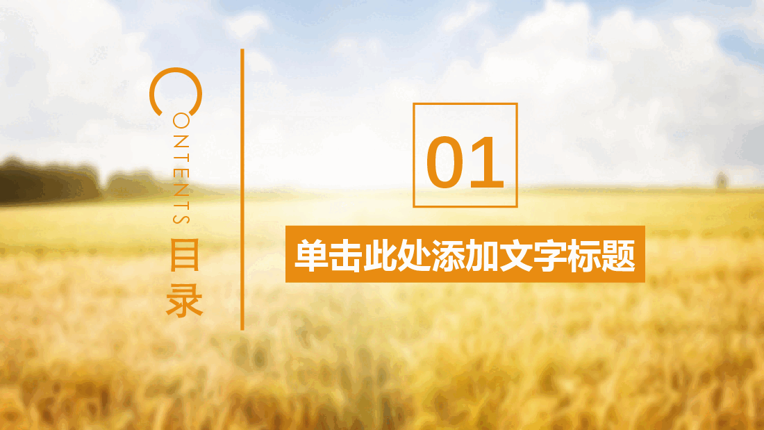 农业水种植PPT.pptx,第3页预览