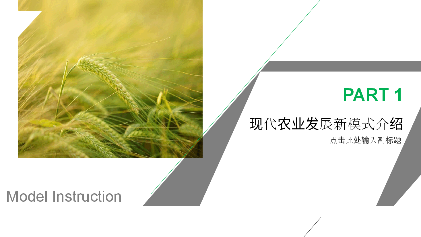 农业招商农产品宣传PPT模版.pptx,第3页预览
