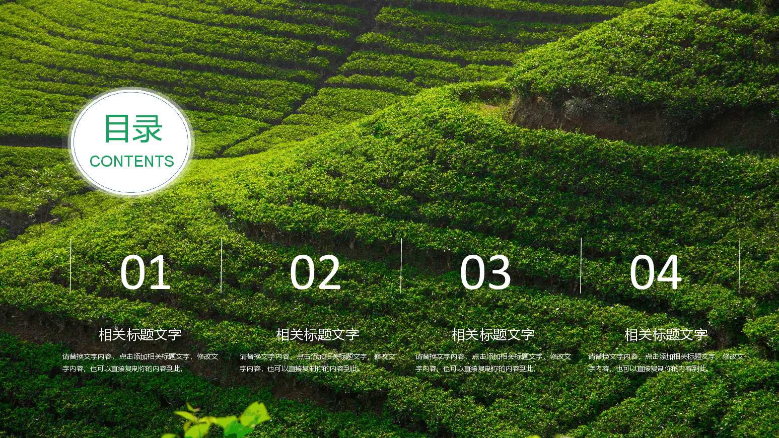 农业招商农产品宣传PPT (2).pptx,第2页预览