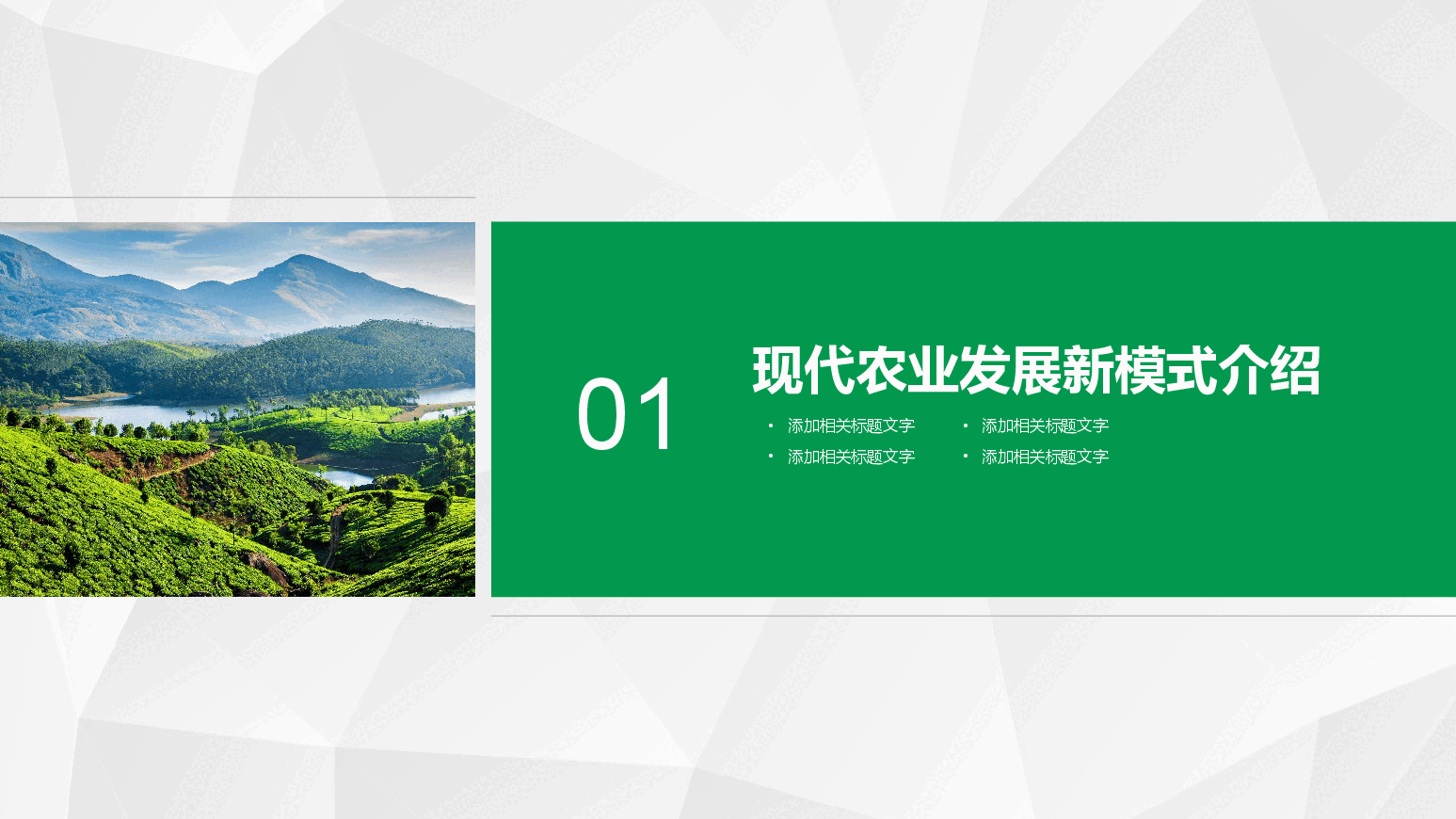 农业招商农产品宣传PPT模板 (5).pptx，第3页预览