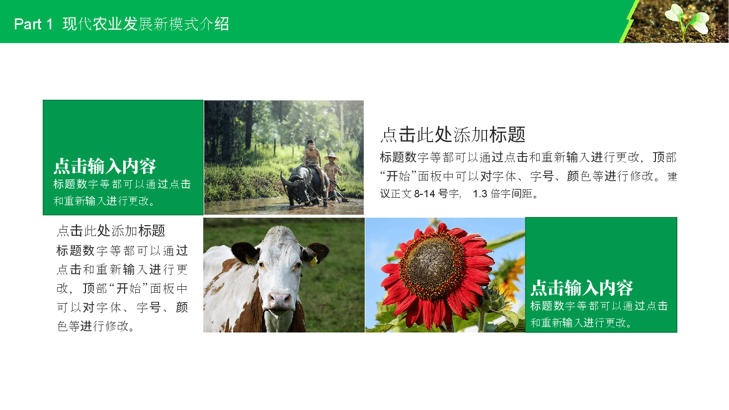 农业招商农产品宣传PPT模版.pptx,第4页预览