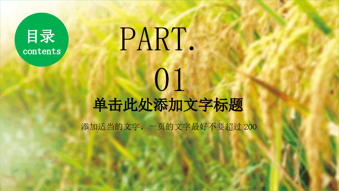 农业水玉米小麦PPT.pptx,第3页预览