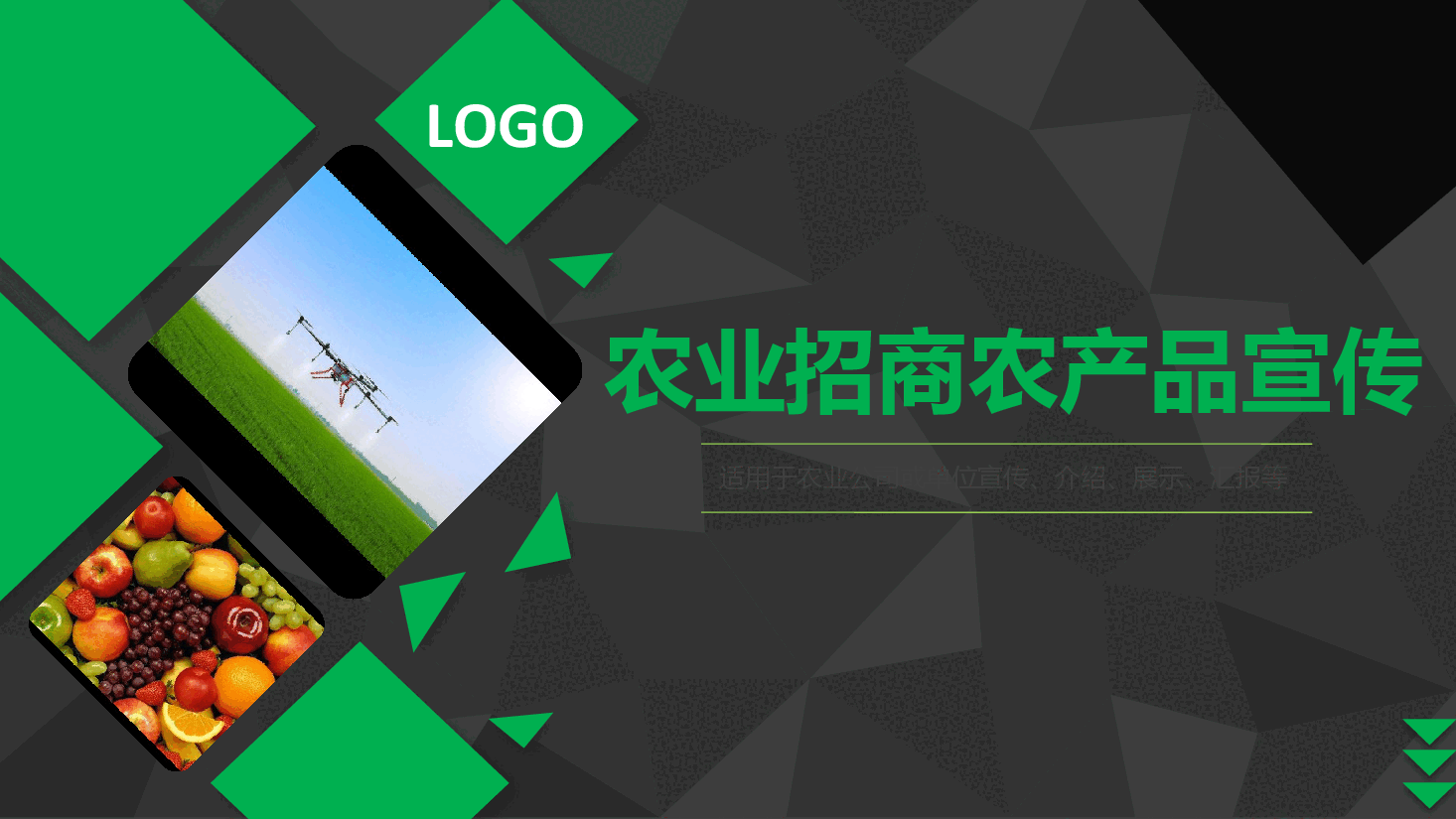 农业招商农产品宣传PPT.pptx,第1页预览
