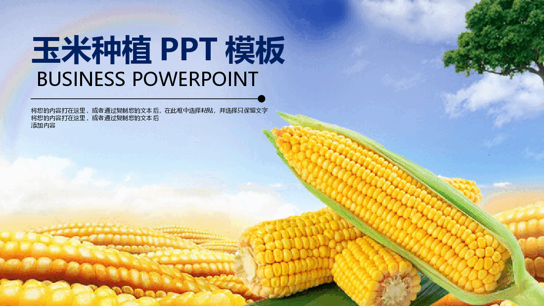 玉米种植PPT模板.pptx,第1页预览