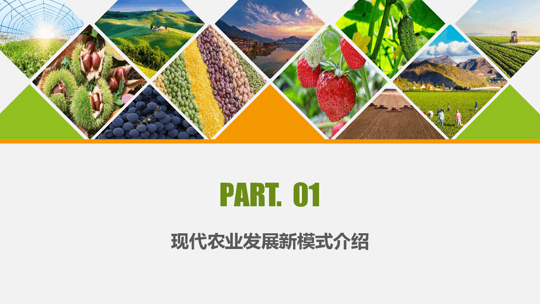 农业招商农产品宣传PPT模板.pptx,第3页预览