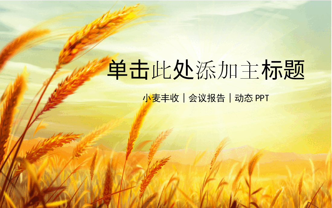 小麦丰收│会议报告│动态PPT.pptx,第1页预览
