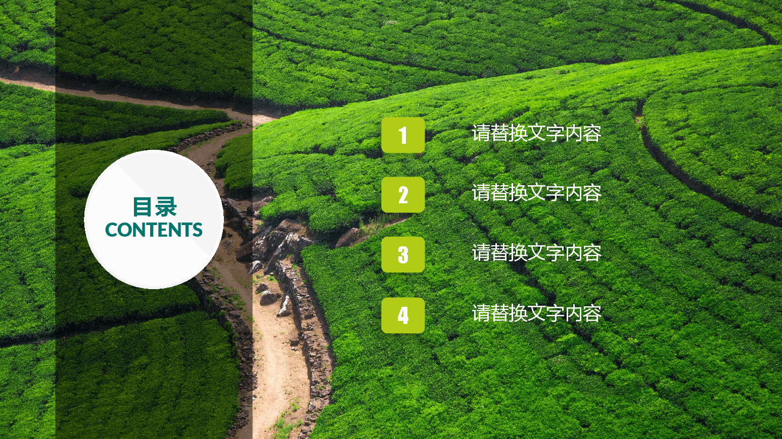 现代农业管理PPT.pptx,第2页预览