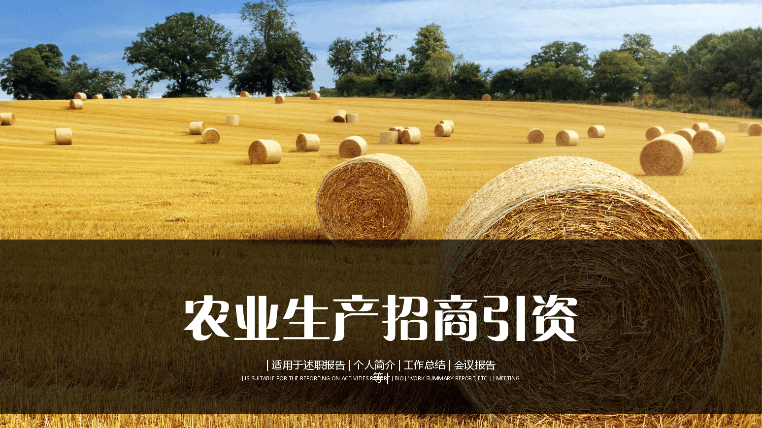 农业生产招商引资PPT.pptx,第1页预览