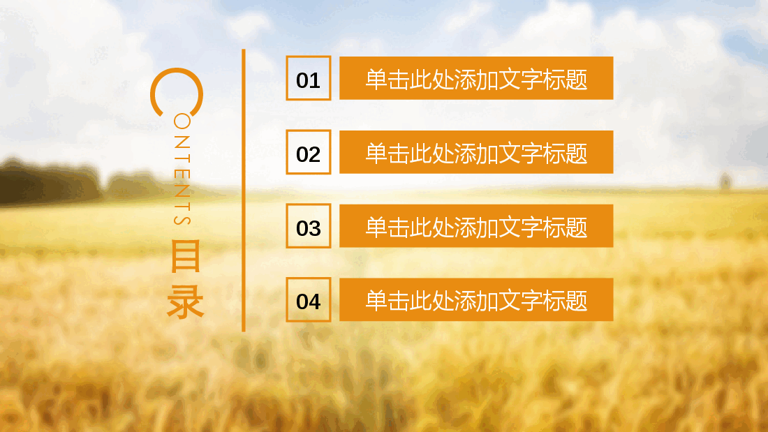 农业水种植PPT.pptx,第2页预览