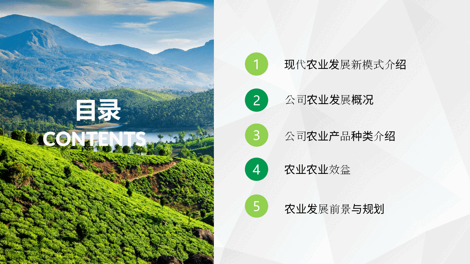 农业招商农产品宣传PPT模板 (5).pptx，第2页预览