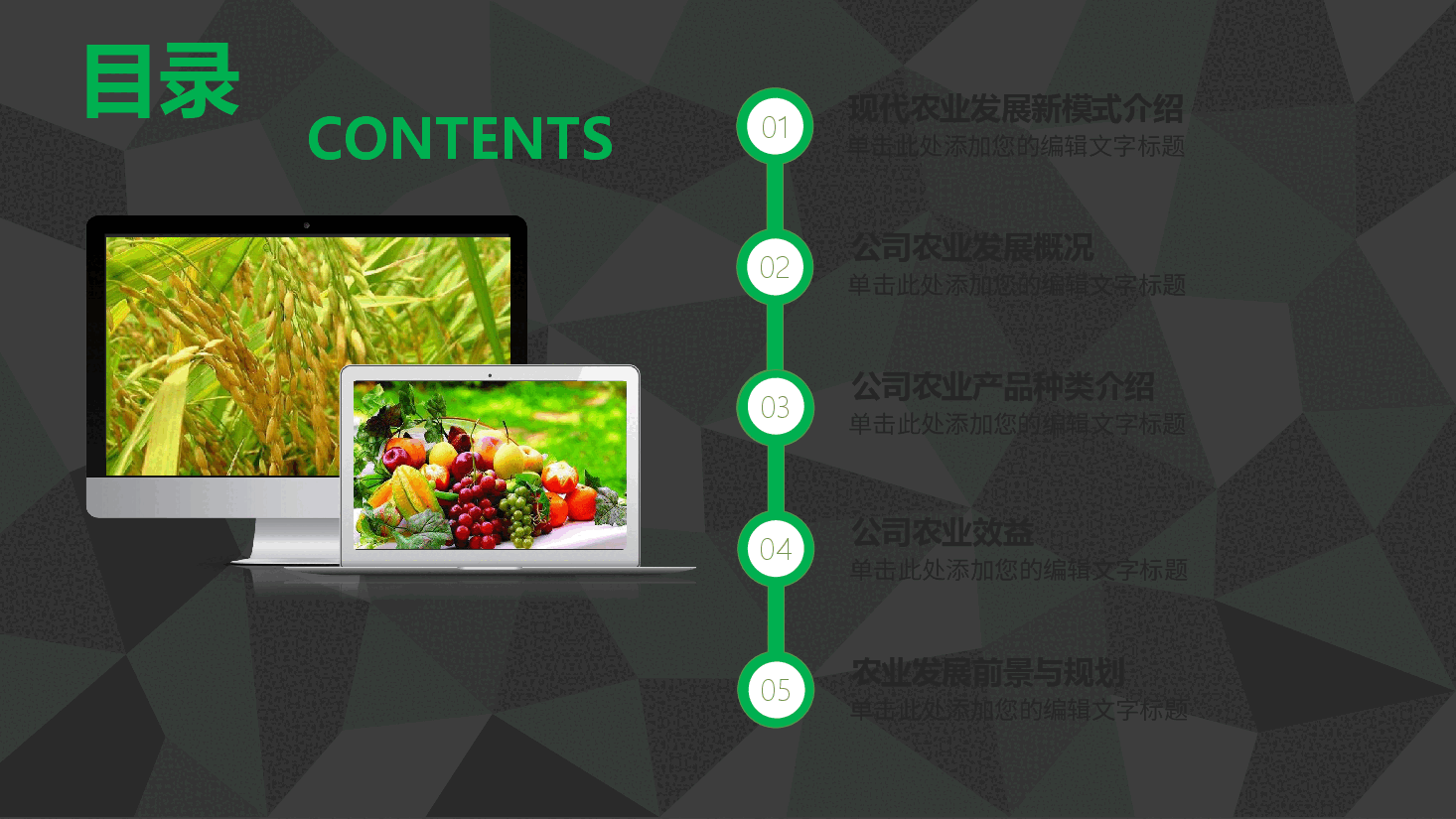 农业招商农产品宣传PPT.pptx,第2页预览